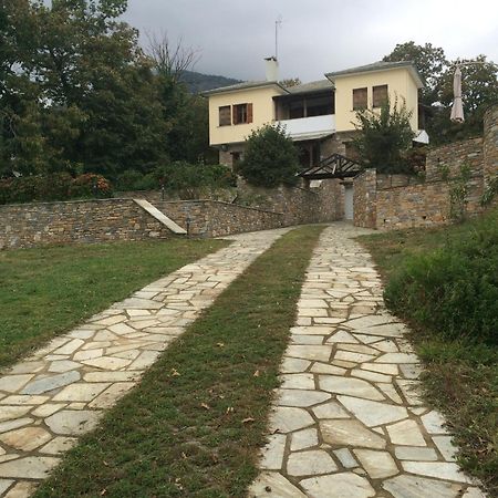 Luxury Villa With Pool In Tsagarada Bagian luar foto