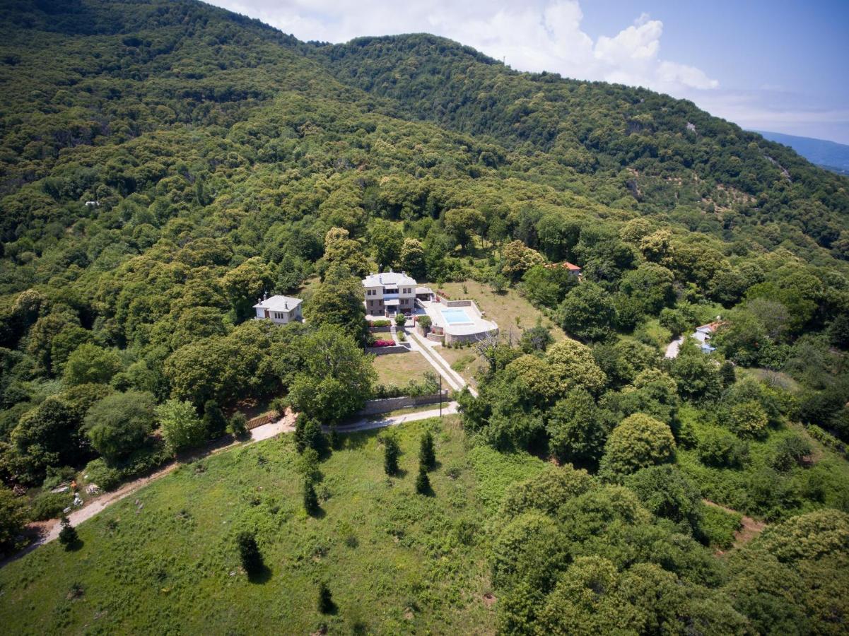 Luxury Villa With Pool In Tsagarada Bagian luar foto