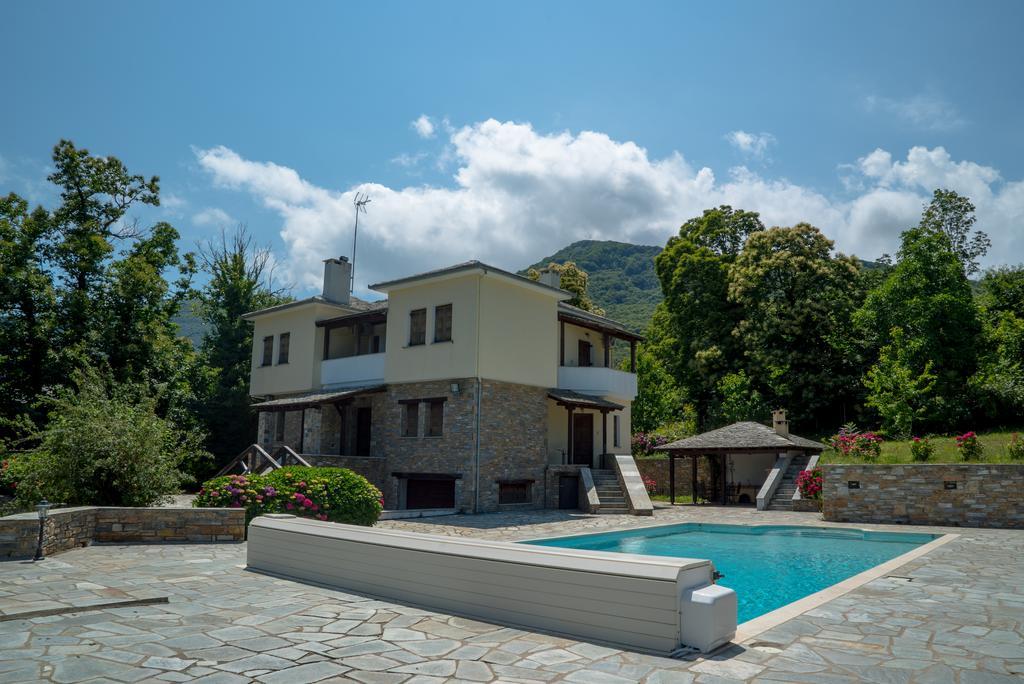 Luxury Villa With Pool In Tsagarada Bagian luar foto